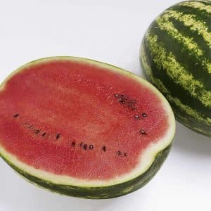 Frühreife Hybrid-Wassermelone Top Gun von niederländischen Züchtern