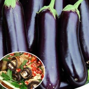 Hvad er godt ved aubergine Ilya Muromets: anmeldelser fra sommerbeboere og funktioner i landbrugsteknologi