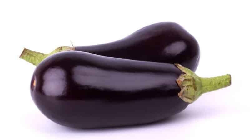 Varmeelskende auberginehybrid Valentina f1 fra hollandske opdrættere