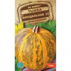 What is good about almond pumpkin and how to grow it