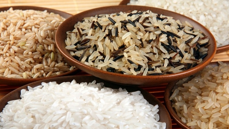 Which is better for weight loss - rice or buckwheat: compare calories, benefits and reviews of those losing weight