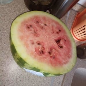 Was bedeuten weiße Adern in einer Wassermelone und auf welche anderen Anzeichen sollten Sie achten?