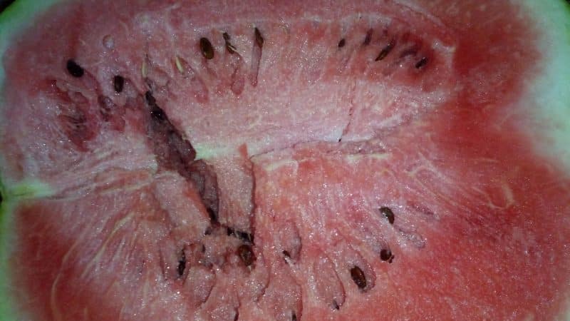 Was bedeuten weiße Adern in einer Wassermelone und auf welche anderen Anzeichen sollten Sie achten?