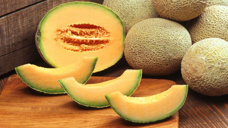 Exotic na cantaloupe cantaloupe: pagsusuri ng iba't ibang may kamangha-manghang lasa at aroma