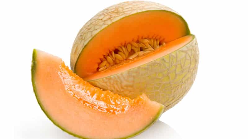 Cantaloupe Exotic Cantaloupe: ulasan pelbagai dengan rasa dan aroma yang menakjubkan