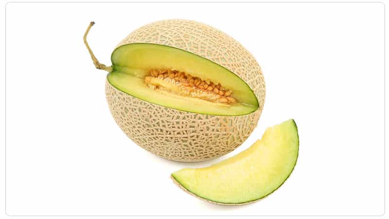 Ano ang gagawin kung ang melon ay hindi hinog: mga panuntunan sa imbakan para sa paghinog ng prutas at mga tip para sa pagpili