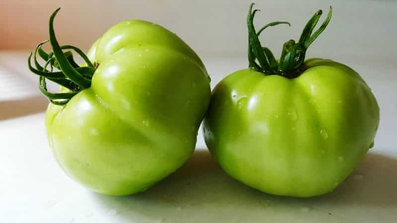 Di mana dan bagaimana untuk menyimpan tomato hijau supaya mereka menjadi merah secepat mungkin dan bagaimana untuk mengekalkan buah masak untuk masa yang lama