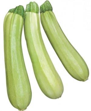 Iba't ibang Cavili zucchini mula sa mga Dutch breeder: kung ano ang gusto mo at kung paano ito palaguin nang tama