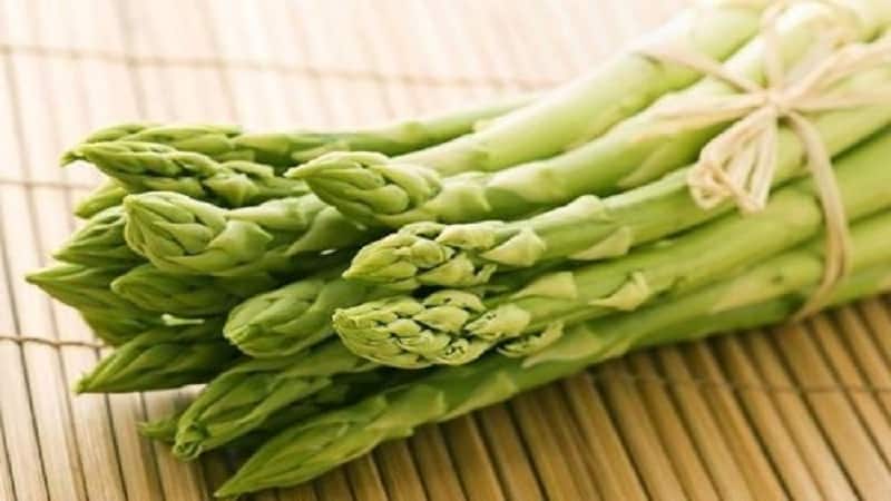 Features of the use of asparagus officinalis