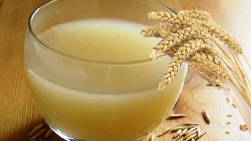 How oats help against smoking: principle of action and recipes that will help