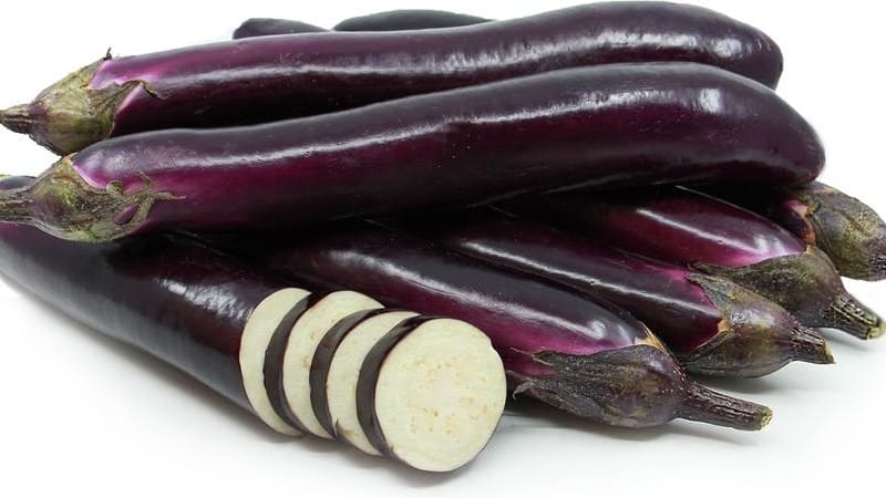 Hvordan dyrke frostbestandig aubergine på riktig måte King of the North