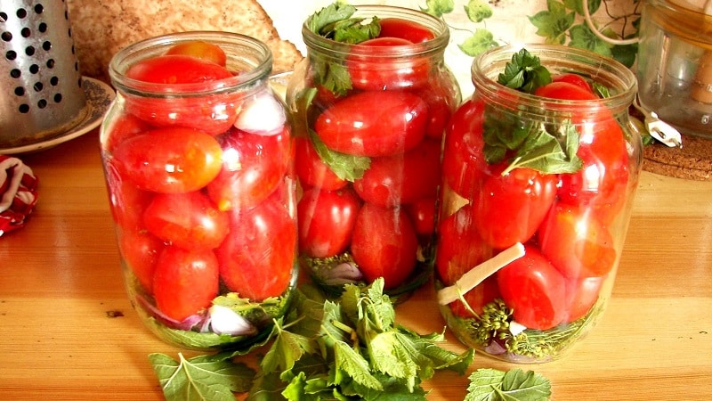 Hoe heerlijke ingemaakte tomaten voor de winter te koken: een selectie van de beste recepten van ervaren huisvrouwen