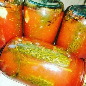 How to deliciously cook pickled cucumbers for the winter in tomato juice: the best recipes