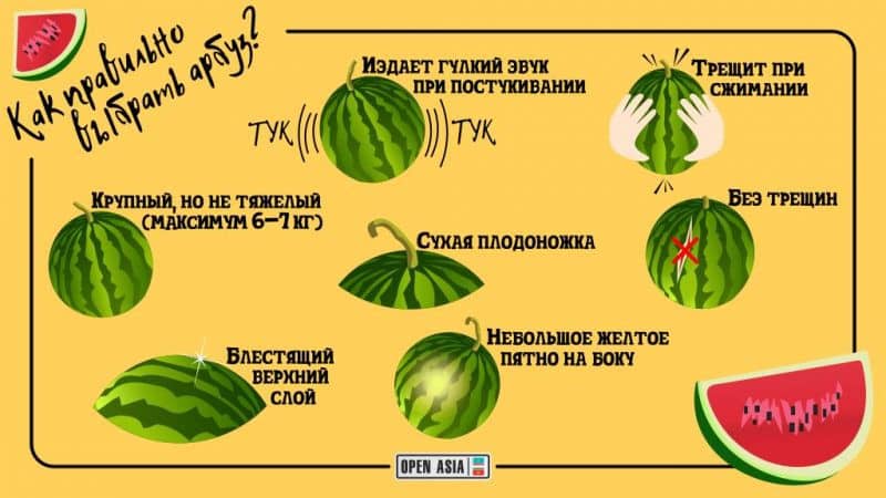 Как да изберем зряла и сладка диня: какво да търсите, когато купувате и избирате плод в градината