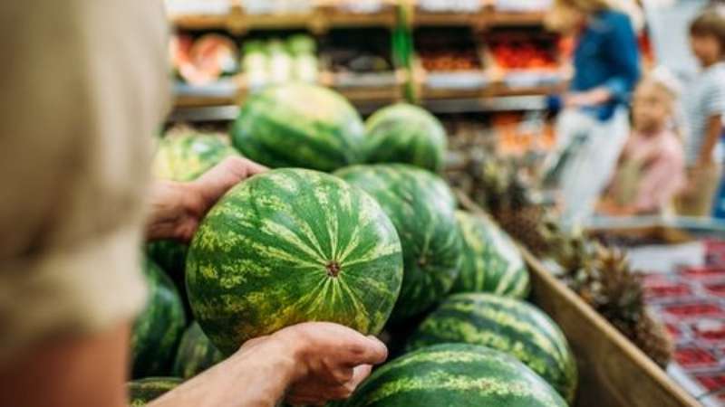 Cómo elegir una sandía madura y dulce: qué buscar al comprar y elegir una fruta en el jardín