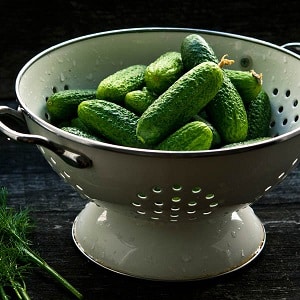 Paano palaguin ang mga Harmonist cucumber at kung bakit sila ay mabuti