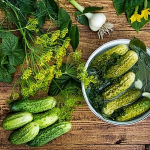 So bereiten Sie auf einfache und leckere Weise knusprige Gurken im Glas für den Winter zu