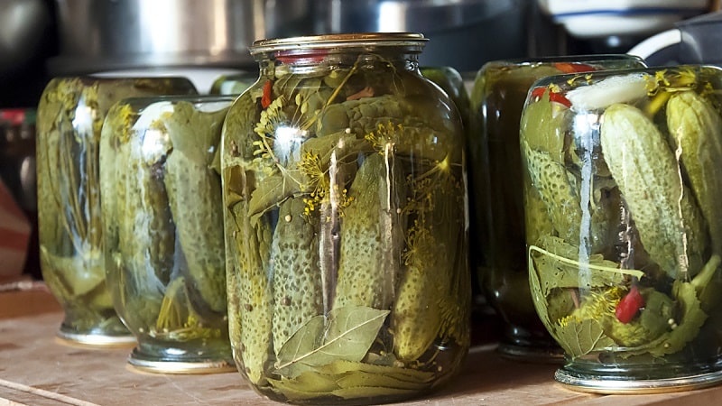 So bereiten Sie auf einfache und leckere Weise knusprige Gurken im Glas für den Winter zu