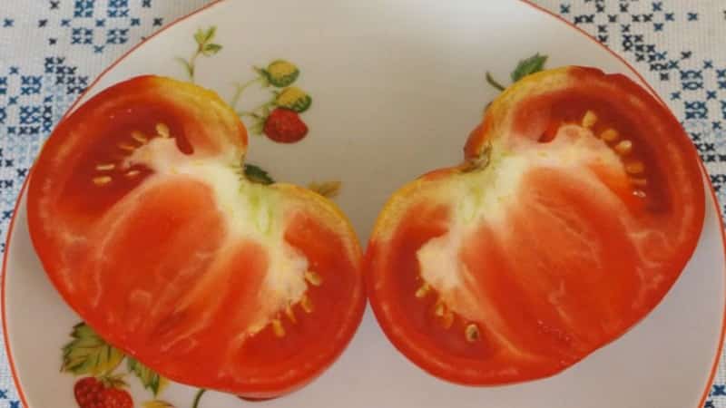 Variedad de frutos grandes de criadores búlgaros: tomate Mom's Love