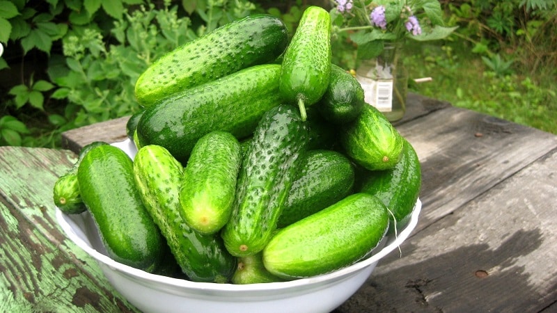 De beste recepten voor het beitsen van zoete komkommers in potten voor de winter van ervaren huisvrouwen