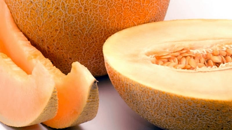 Posible bang kumuha ng melon para sa gastritis sa iba't ibang anyo: mga patakaran at regulasyon para sa paggamit