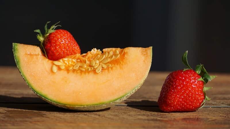 Is it possible to eat melon with cholecystitis and cholelithiasis?