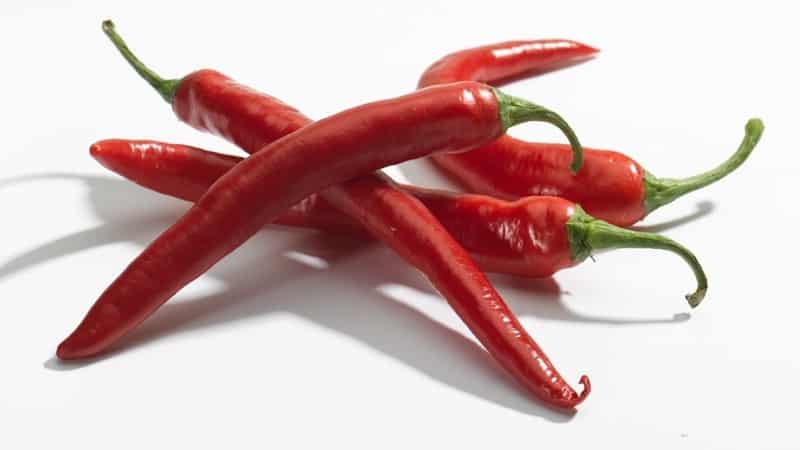 Features and varieties of Pepperoni pepper, its cultivation and applications