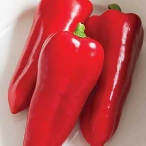 Why is it worth growing Atlant hybrid pepper and how it can surprise you