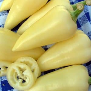 What is good about the Belozerka pepper variety and why you should try growing it on your own plot