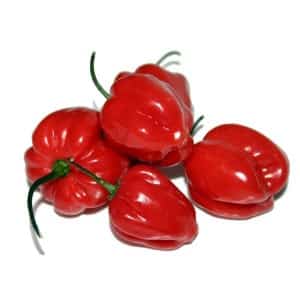 Paano palaguin ang mainit na habanero peppers at gamitin nang tama ang sangkap na ito sa pagluluto