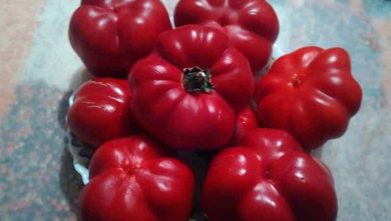 Review of the Novy Goshary pepper variety: reviews from farmers, advantages and disadvantages, nuances of cultivation