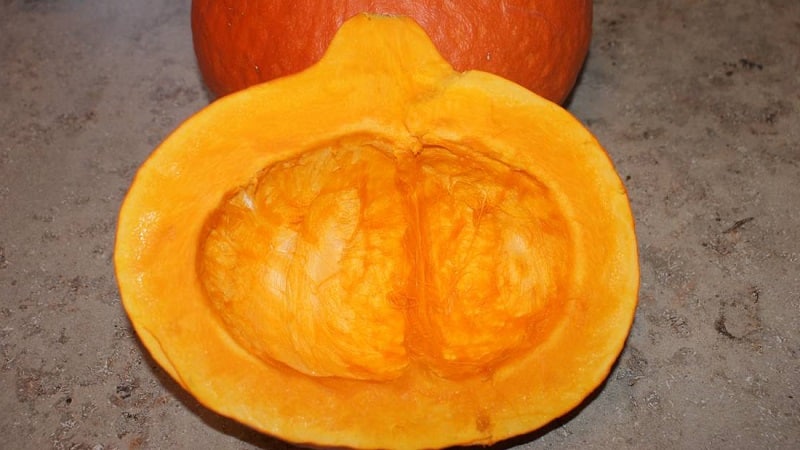 Why do farmers like the Orange Summer pumpkin so much: a hybrid that is easy to care for and indispensable in cooking