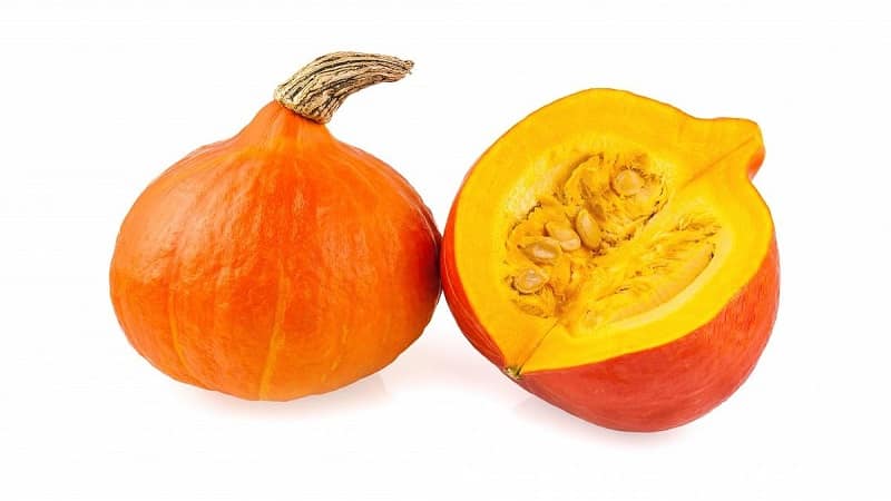 Varför gillar bönder Orange Summer pumpa så mycket: en hybrid som är lättskött och oumbärlig i matlagning