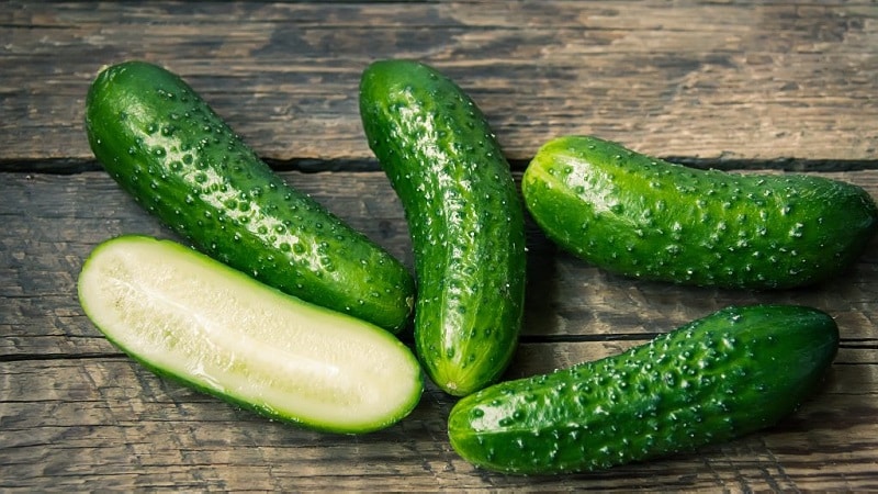 En gave fra tyske opdrættere - Libella cucumbers (Libelle)