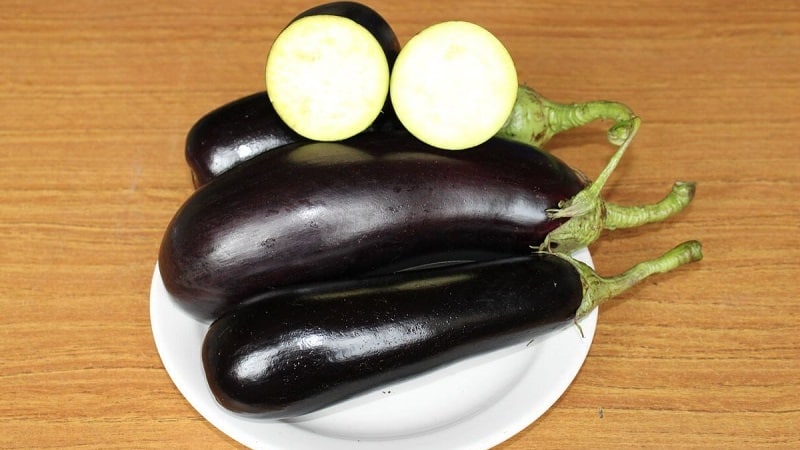 A gift from modern breeders - Fabina f1 eggplant with large fruits and impressive yield