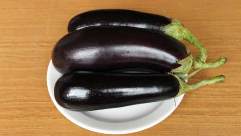 En gave fra moderne oppdrettere - Fabina f1 aubergine med store frukter og imponerende utbytte