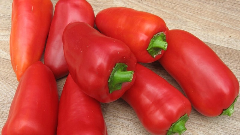 Et utvalg av de beste variantene av søt paprika for åpen bakke