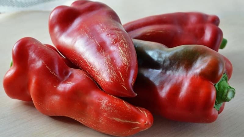 Een selectie van de beste soorten paprika's voor de volle grond