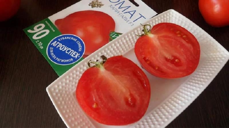 Obtenemos una cosecha récord con el tomate Hali gali: trucos para jardineros y reglas básicas para el cuidado de un híbrido