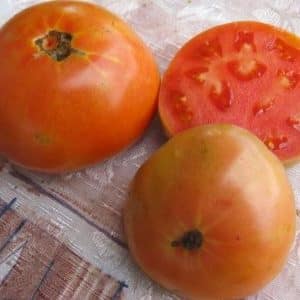 Perkara yang mungkin anda ingat tentang tomato Masterpiece dan cara mendapatkan hasil tuaian yang baik