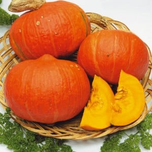 Is it true that pumpkin weakens: how to use a colon cleanser and what the effect will be