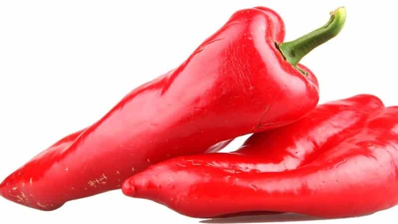 Poseedor del récord de contenido de vitaminas: pimiento dulce Ramiro de apariencia exótica