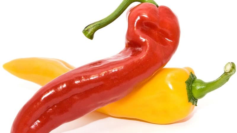 Poseedor del récord de contenido de vitaminas: pimiento dulce Ramiro de apariencia exótica