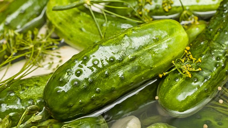 6 most delicious recipes for pickled cucumbers in a pan