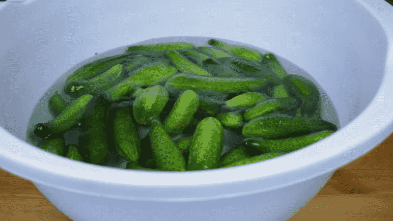 6 receitas mais deliciosas de pepino em conserva em uma panela