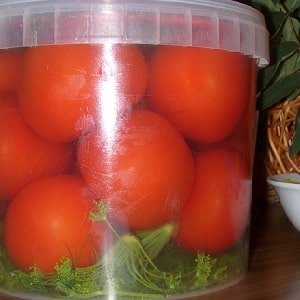 Les recettes les plus délicieuses et les plus simples pour mariner des tomates dans un seau : faire d'excellentes préparations pour l'hiver