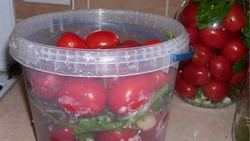 Les recettes les plus délicieuses et les plus simples pour mariner des tomates dans un seau : faire d'excellentes préparations pour l'hiver