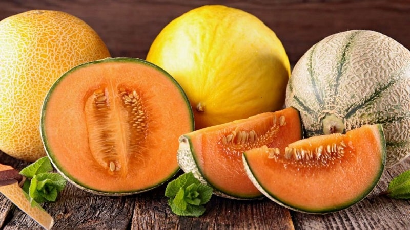 Wie viel Melone darf man pro Tag essen: Verzehrsraten, wohltuende Eigenschaften und Kaloriengehalt