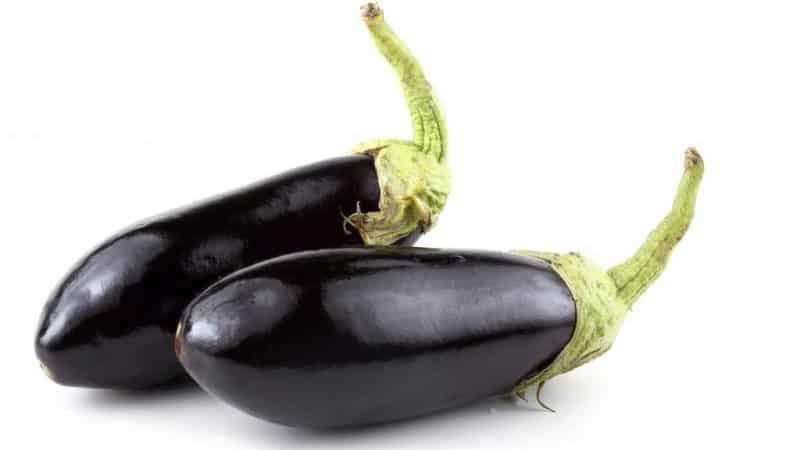 Genomgång av sorten Black Prince aubergine och instruktioner för att odla den