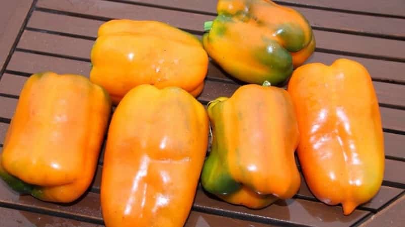 Big Mama paprika fajta lédús, édes narancs színű gyümölcsökkel: könnyen termeszthető saját parcellán